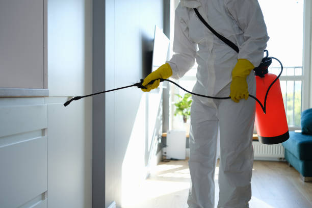 Best Industrial Mold Remediation  in Warren, IN