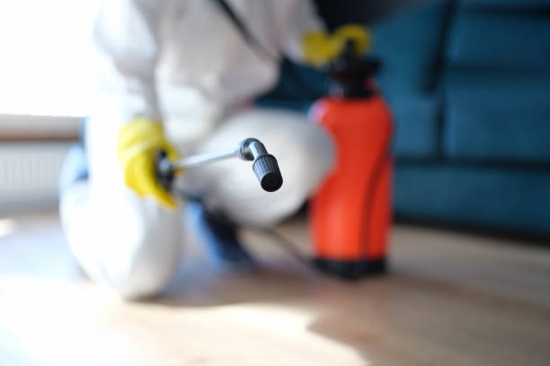 Biohazard Mold Removal in Warren, IN