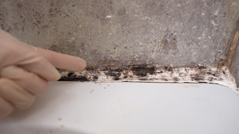 Best Indoor Air Quality Assessment  in Warren, IN