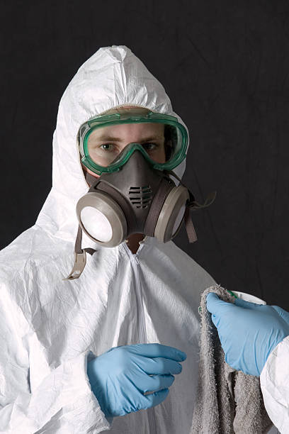Best Mold Damage Restoration  in Warren, IN